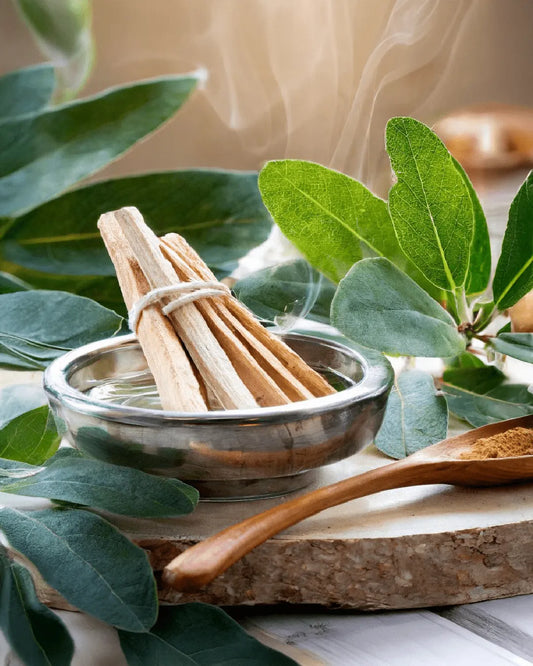 Premium Palo Santo from Ecuador – 50g